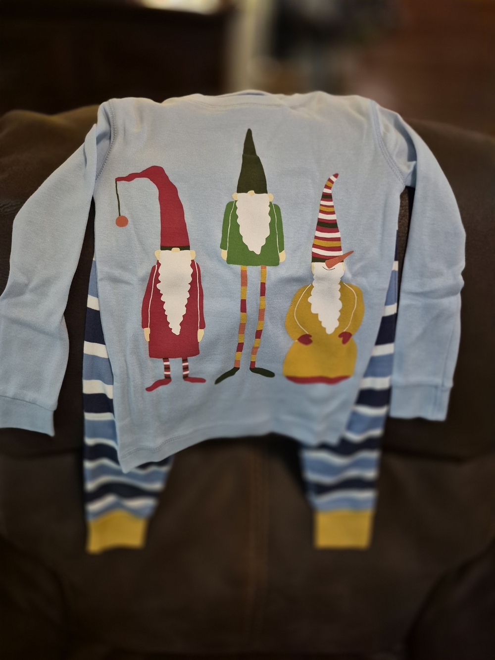 Garnet Hill Light Blue Kids Gnome Pajama Set with Red, Green, Mustard Accents